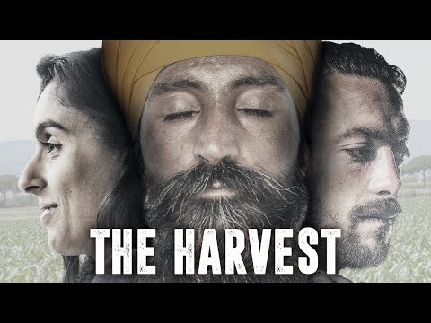 The Harvest [OFFICIAL TRAILER]