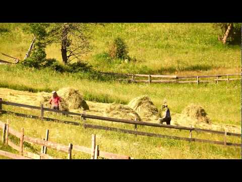 Hay stacking at Stone House, Alba, Romania - Timelapse - Casa de piatra.