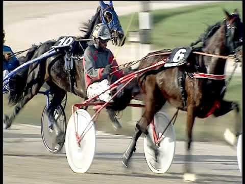 Trotto 12/11/2019 - 1ª corsa