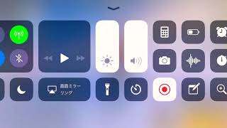 なにかに取り憑かれたように死ぬ女