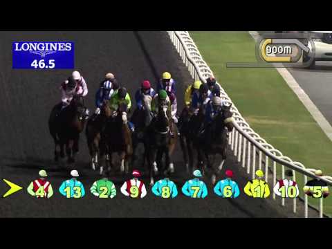 02.01.2014 Meydan (Dubai-UAE) 5.Race Meydan Beach Club - Handicap 1.600 m