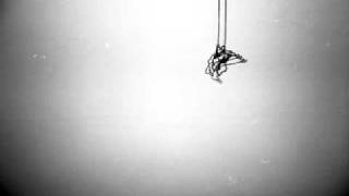 ricky eat acid - birds