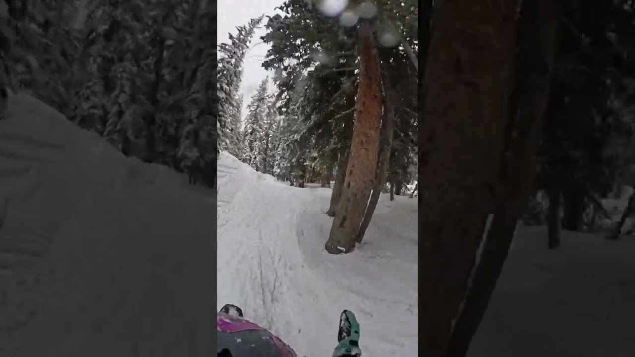 Lost in the Trees: The "Powder Trap" is Real. Sometimes you just want to stay down. ❄️ #snow #sports