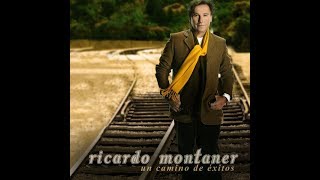 Ricardo Montaner - Cuando A Mi Lado Estás (Cover Audio)