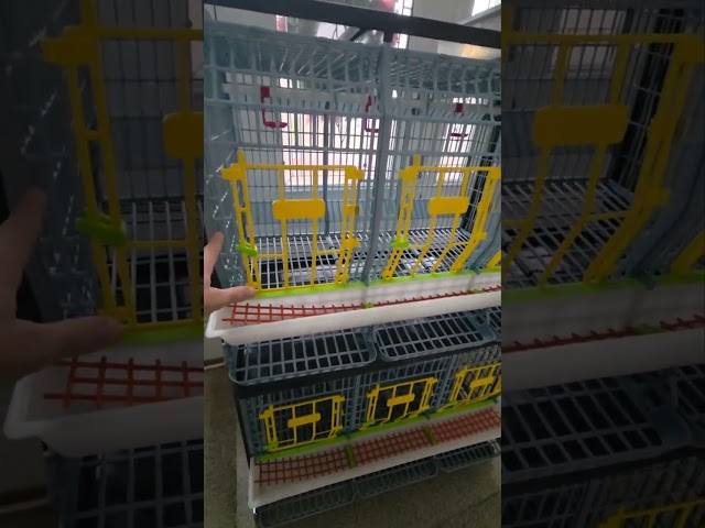 Judge.me YouTube video placeholder