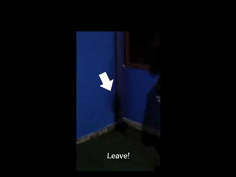 Real Shadow Entity Caught On Video! Scary Comp