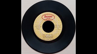 A Flor de Piel - SKORPIO - Jaime Murrell - HAPPY RECORDS.