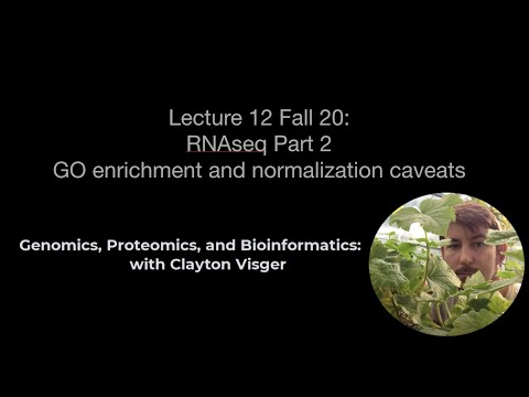 Bio224 F20 - RNAseq GO Enrichment and normalization caveats