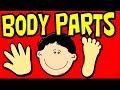 The BODY PARTS For PRESCHOOLERS Learning Video For Toddlers
