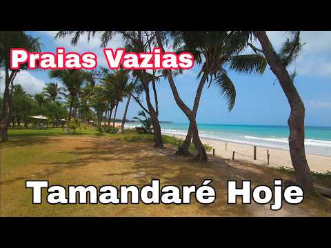 Tamandaré Pernambuco 22 De Outubro De 2026 Praias Vazias