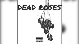 Dead Roses Music Video