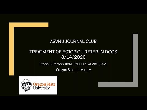 ASVNU Journal Club 8/14/2020- Management of Ectopic Ureters