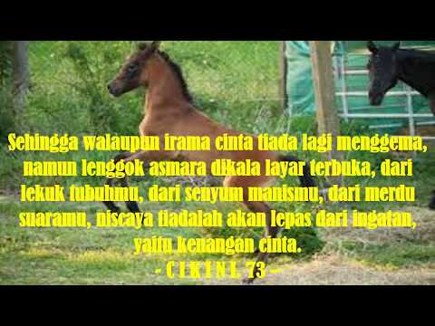 KENANGAN CINTA CIKINI 73 / Puisi Cinta Paling Romantis Dari TANGERANG SELATAN / Bakot Aldino