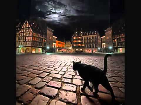 Jaromir Nohavica   Polámaný anděl touhy