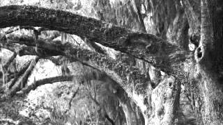 St James Infirmary Blues CD Sample