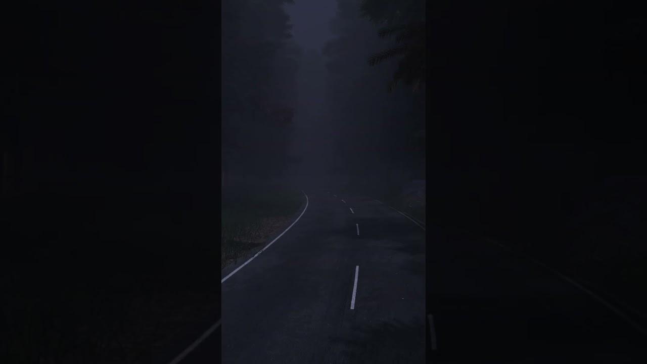 Night Road Environment