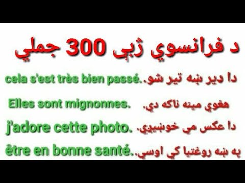 Leçon 236 : Les 300 Phrases Les Plus Utilisées en Français - The Most Used Sentences in French