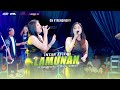 INTAN AFIFAH  - LAMUNAN - SINCRON MUSIC LIVE SEMBUNGHARJO - PULOKULON #DAS_AUDIO