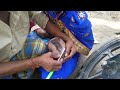 Mundan Breastfeeding Vlog 08