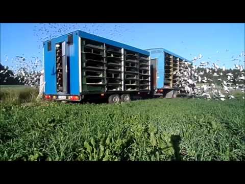 Humpolec I. 2015. 06. 06.