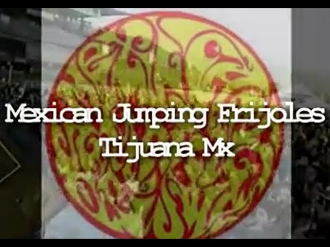 Mexican Jumping Frijoles - Pinche Policia