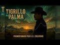 El Compa Marlon - Tigrillo Palma