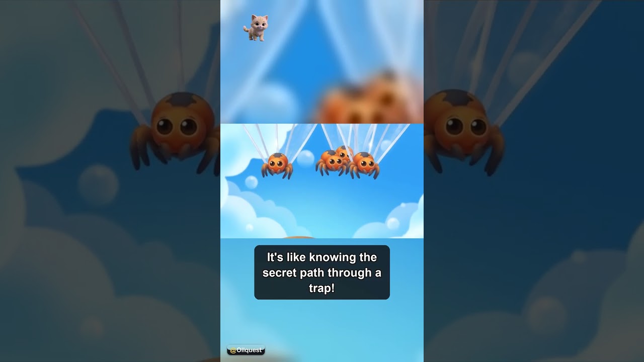 Why Do Spiders Make Webs? (Part 2) 🚀 #Shorts