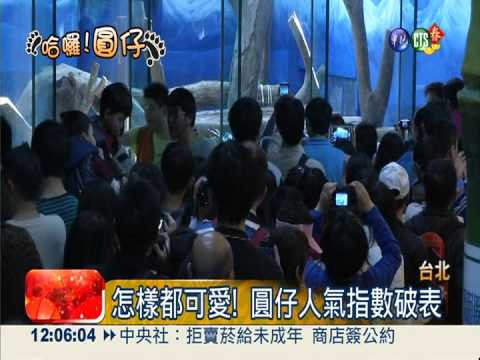 初三沒睏飽 圓仔上工變睡美人