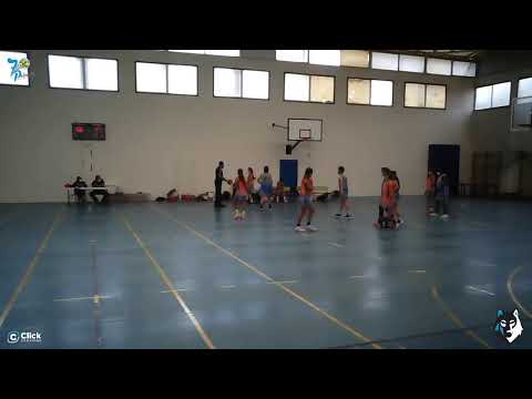 SENIOR FEMENINO: CB 7 Palmas Junior - CB 7 Palmas Senior