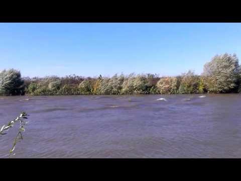 Timisul la Cebza - 18.10.2013 - part 2