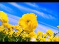 Bebo Norman - Back To Me 