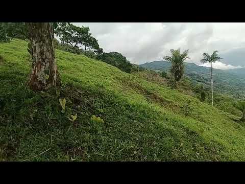 Nacimiento del río Carepa y del río Mulatos Las bellezas de las montañas de Urabá límite con Córdoba