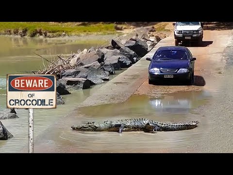 Cahill's Crossing - The World's Deadliest Crossing