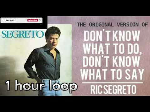Don't know what to do , don't know what to say - Ric Segreto [ 1 hour loop ]