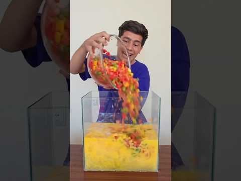 We react to ANT-FOOD WASTER again