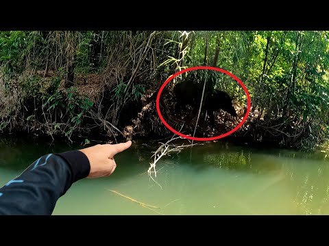 It was hard even to breathe, my heart almost exploded!!! This video will stay with you... Fishing.