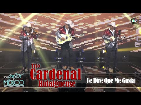 Trío Cardenal Hidalguense - Le Diré Que Me Gusta (Video Oficial)