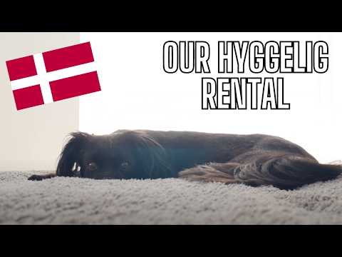 Renting an Apartment in Denmark - Our Experience