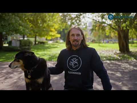 Viselkedés problémás kutyák kezelése - Alex, a Gazdijogsi trénere segítségével