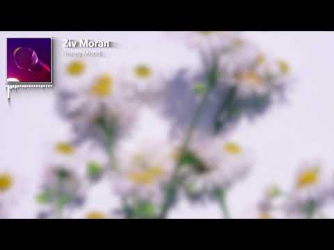 Honey Mood Ziv Moran - NoCopyRight Background Music