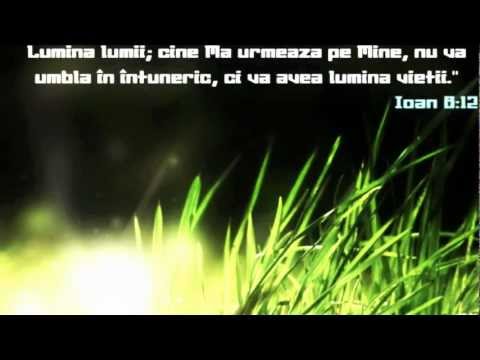 agape-aripile credintei