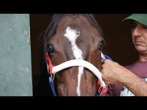 GIRONA FEVER EN ARGENTINA - El 1° de Mayo promete - Lo mejor de la semana y Notas 🎙️