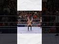 Daniel Bryan and The Shield in WWE