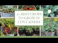 20 BEST Vegetables Fruits Herbs For CONTAINER GARDENING Growing In The Garden