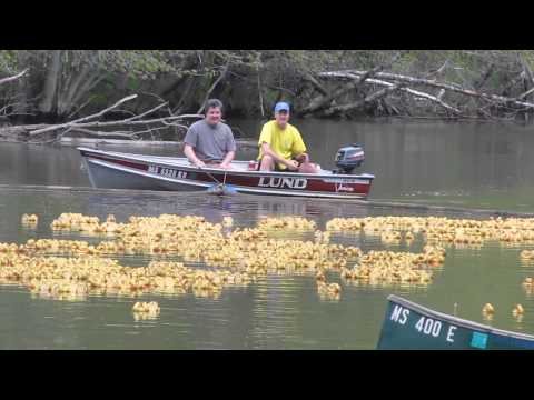 Ayer Rotary Duck Race 2011
