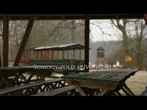 Reviczkyvel az Erdőben - Somogy zöld szíve, Kaszó - 2017 - 2/12