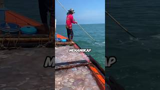 Download lagu Why are these people catching thousands of jellyfish? 🤯😱 mp3 Download lagu Why are these people catching thousands of jellyfish? 🤯😱 mp3