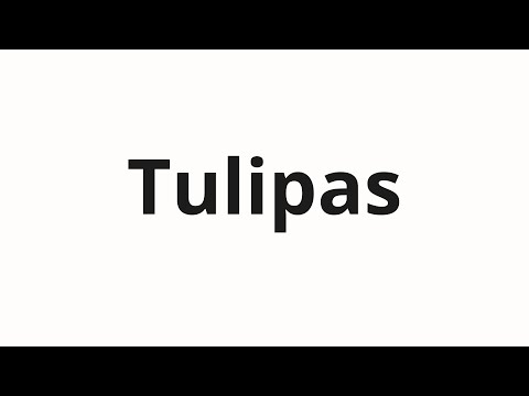 How to pronounce Tulipas