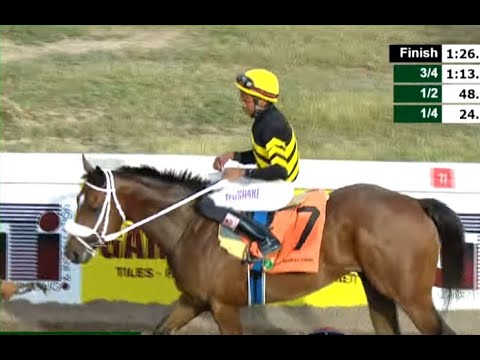 JAMAICA RACING: Sir Don Rules With Ease In Sat, Nov 29, 2025, 7th