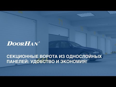 Гаражные секционные ворота RSD02SLP из пустотелых панелей